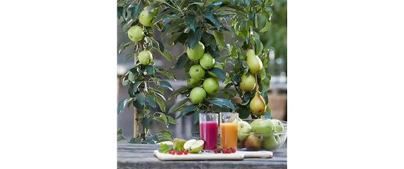 GESUND NASCHEN AUF DEM BALKON!